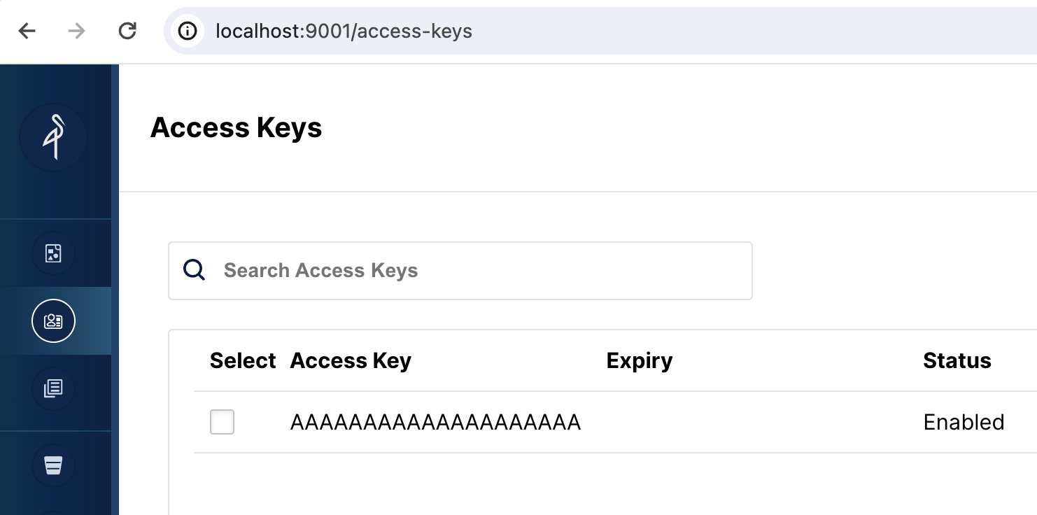 View the MinIO access key